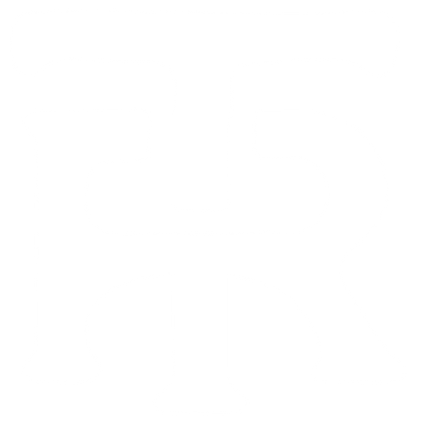 Troy Ramey logo